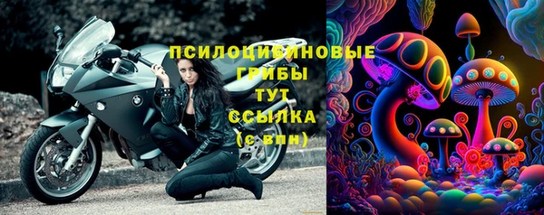 тгк Аркадак