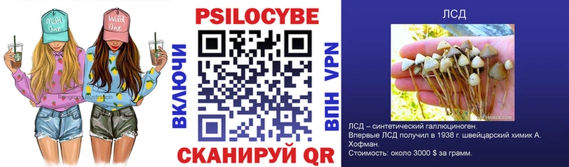 Псилоцибиновые грибы Magic Shrooms  Новоржев 